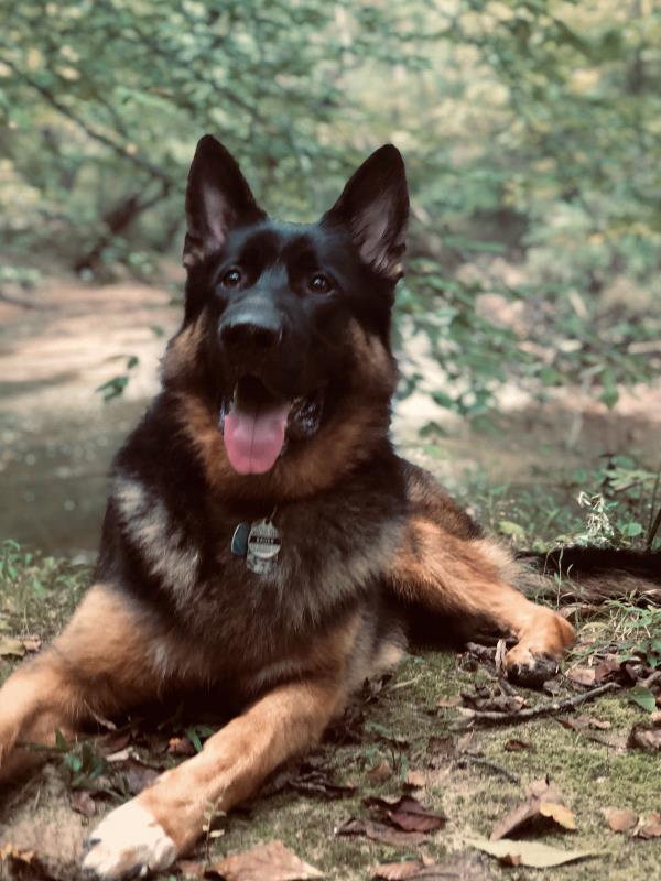 /Images/uploads/Humane Rescue Alliance/HRACalendarPhotoContest/entries/8460thumb.jpg